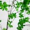 8ft. Potted Artificial Minimalist Enkianthus Tree